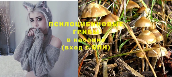 MESCALINE Няндома