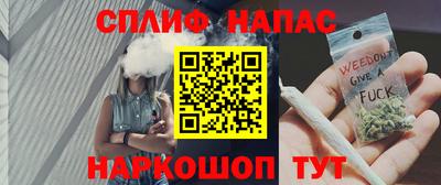 сатива Бийск