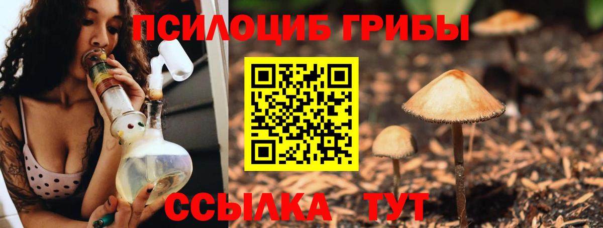 Псилоцибиновые грибы GOLDEN TEACHER Кашира